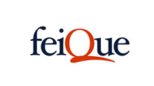 logo-feique