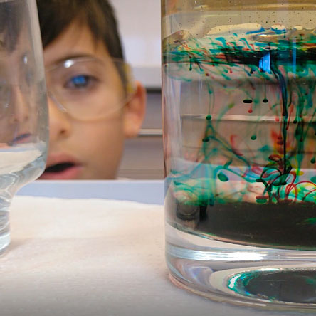 PARTICIPAMOS EN EL PROGRAMA REPTE EXPERIMENTA