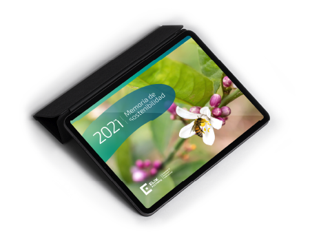 mockup tablet