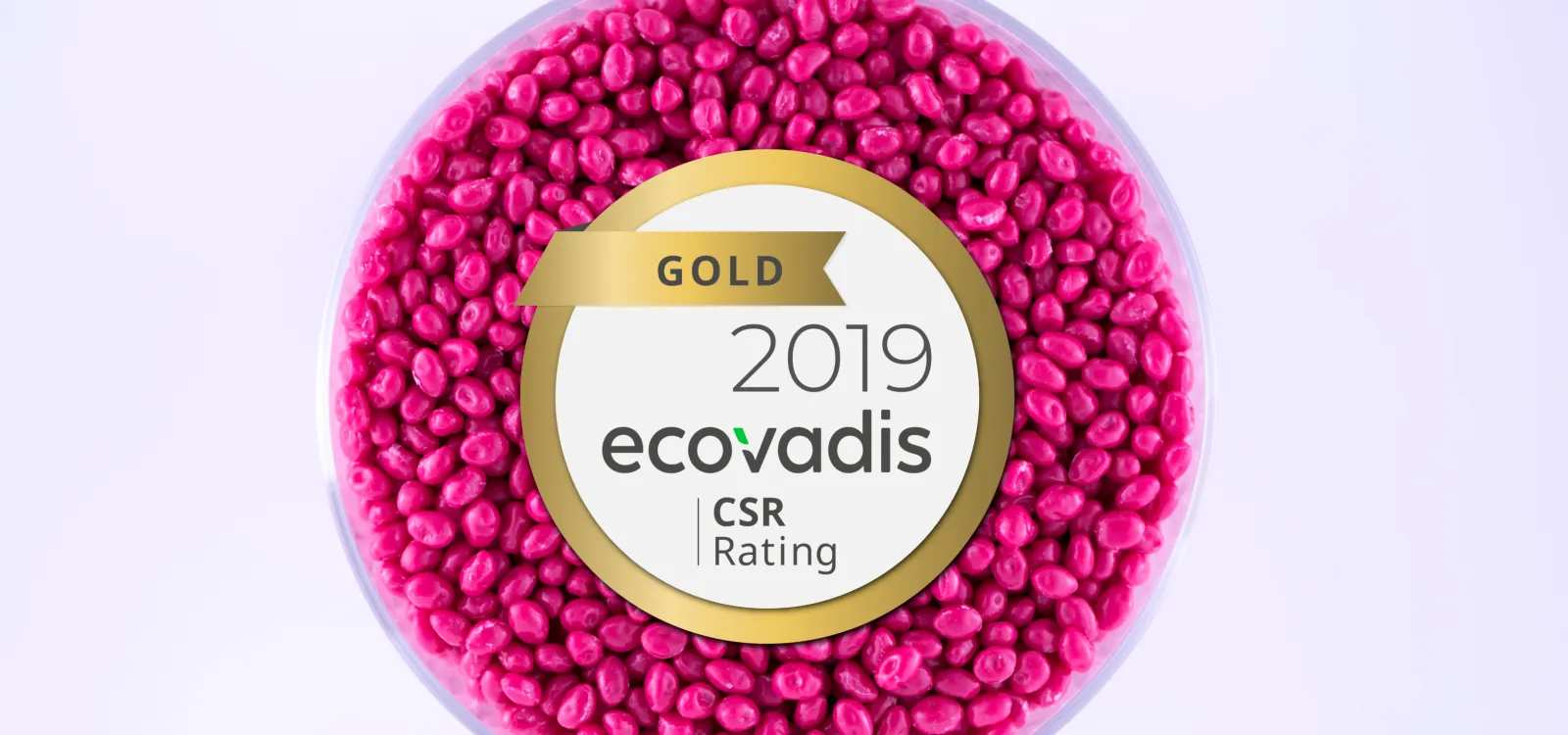 EcoVadis picture.jpg