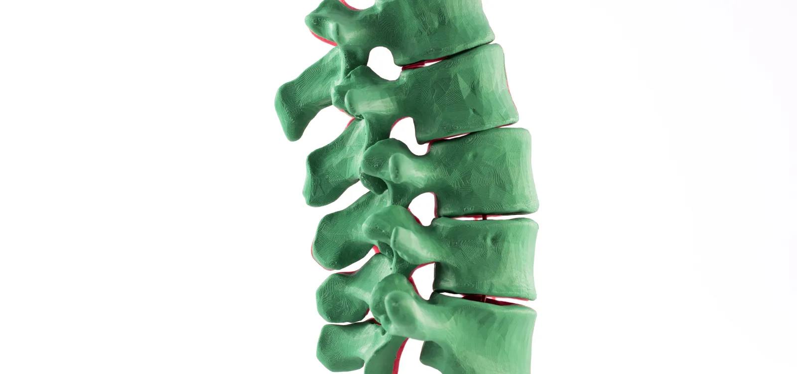 columna_4.jpg