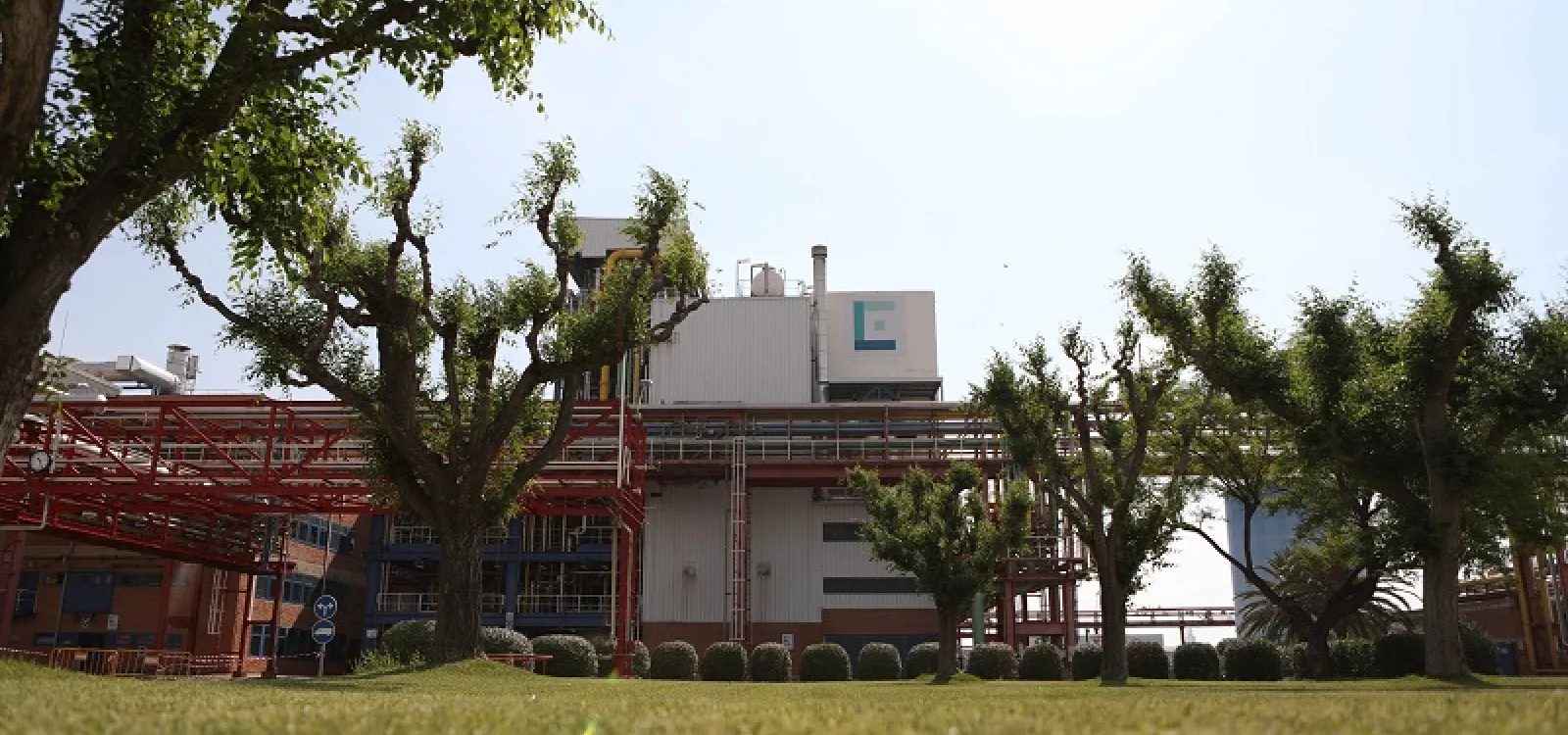 planta-elix-3.JPG